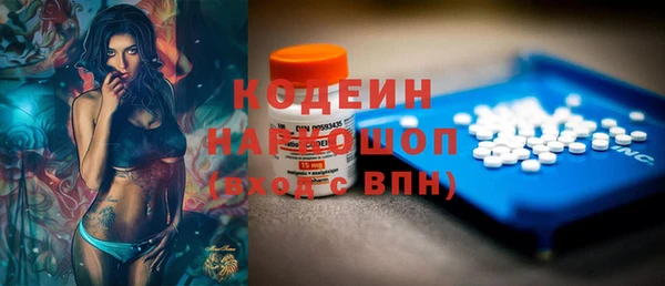 индика Навашино