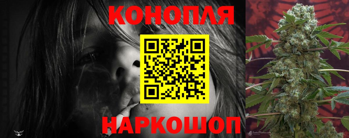 Марихуана план  Вход с VPN  Бошки Шишки конопля  Абакан  Каннабис конопля 